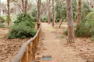 Feniglia_link_cr-3908